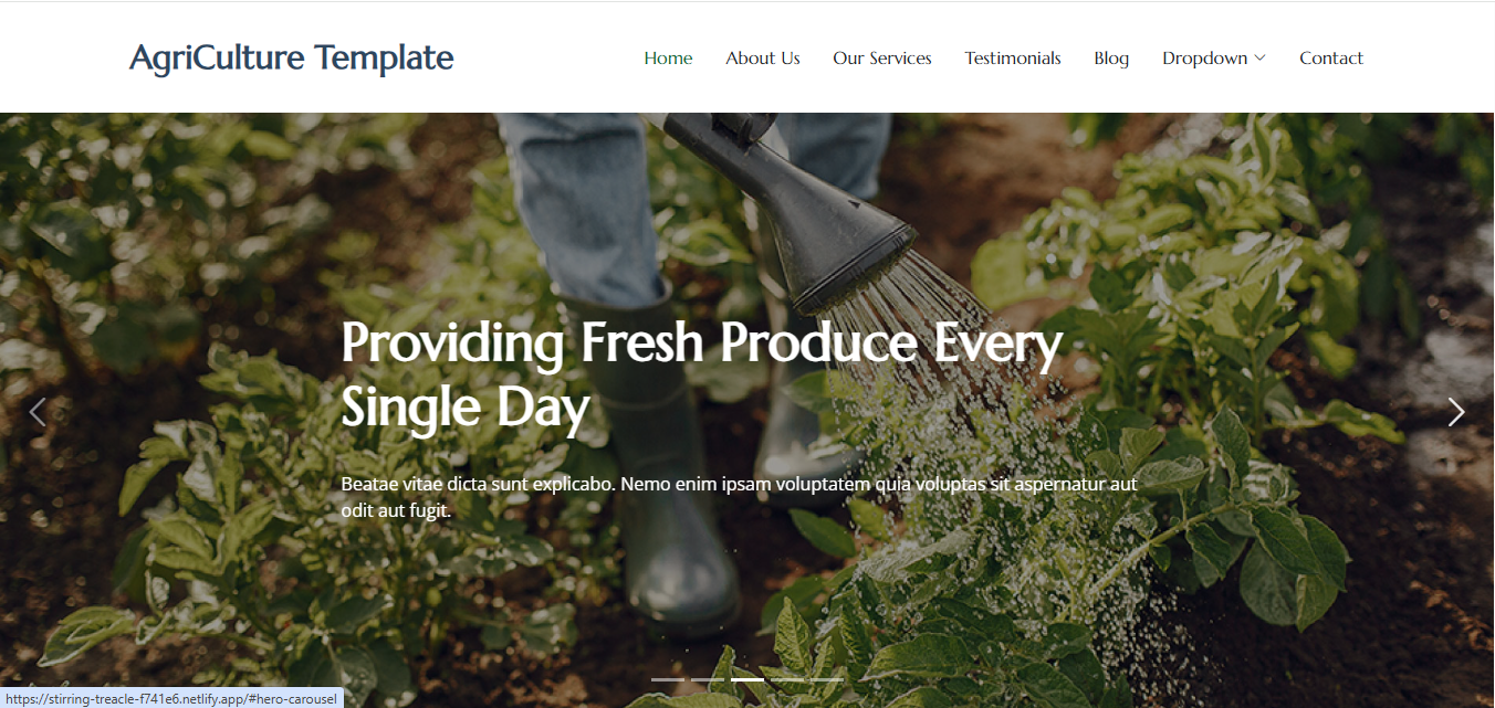Responsive Web Design Portfolio - Full-Stack Application Solutions